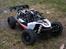 Buggy Losi Mini 8ight DB