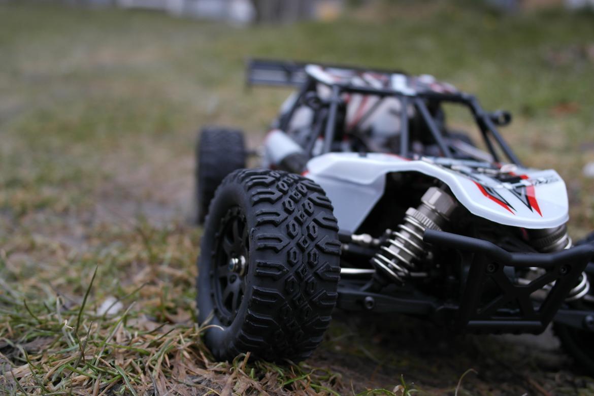 Buggy Losi Mini 8ight DB billede 15