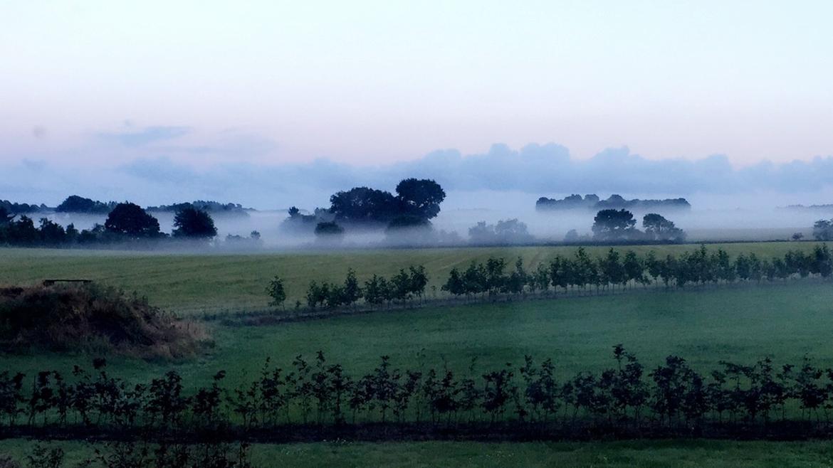 Multirotor DJI PHANTOM 3 STANDARD billede 16