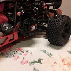 Buggy Rovan baja 5b