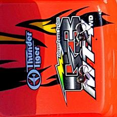 Off-Roader Thunder Tiger MT4 G3