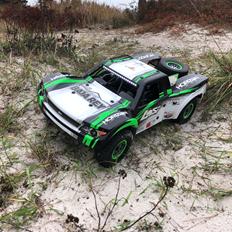 Buggy Losi super baja Rey 