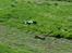 Buggy Agama A8T evo Truggy aka John Deere
