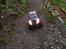 Bil vaterra ascender k10