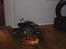 Truck Kyosho USA 1