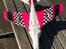 Fly Stinger 64 MK2 4S EDF Sport Jet  - Bunden har også fine farver