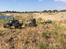 Off-Roader Crawler trx4 land Rover