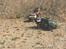 Off-Roader Crawler trx4 land Rover