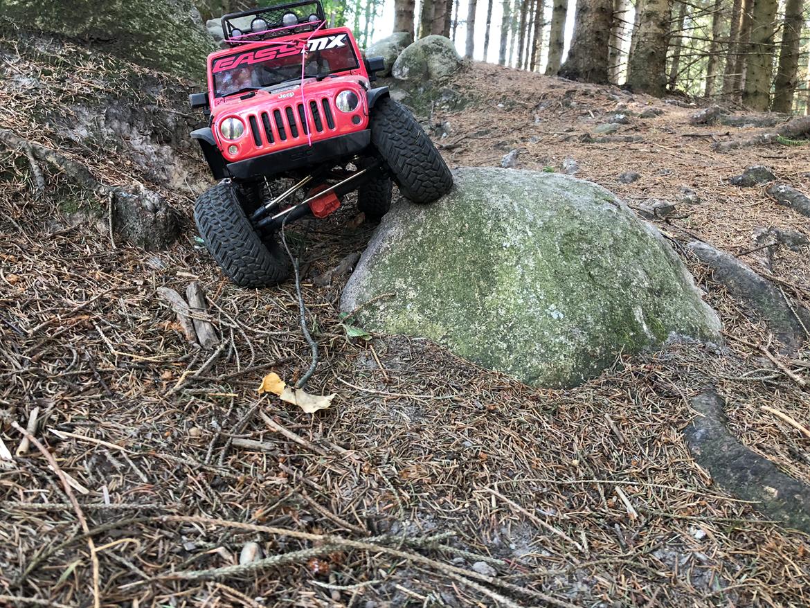 Bil Axial scx10II billede 16