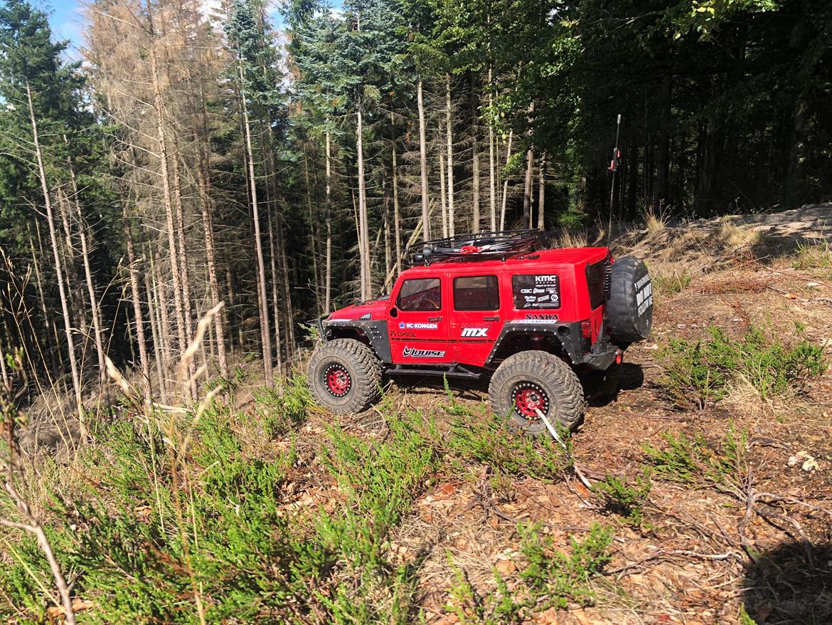 Bil Axial scx10II billede 22