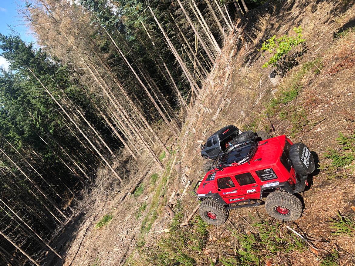 Bil Axial scx10II billede 24