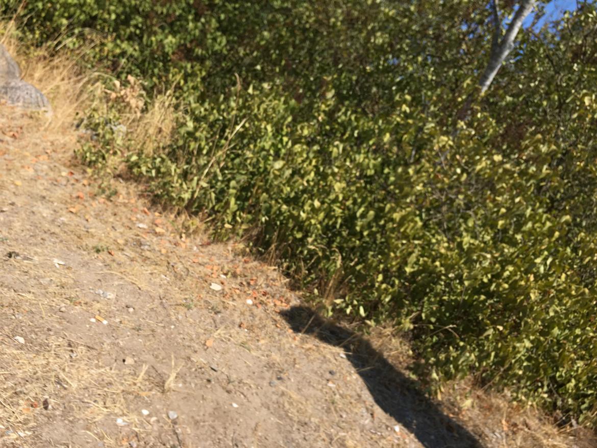 Off-Roader Crawler trx4 land Rover billede 50