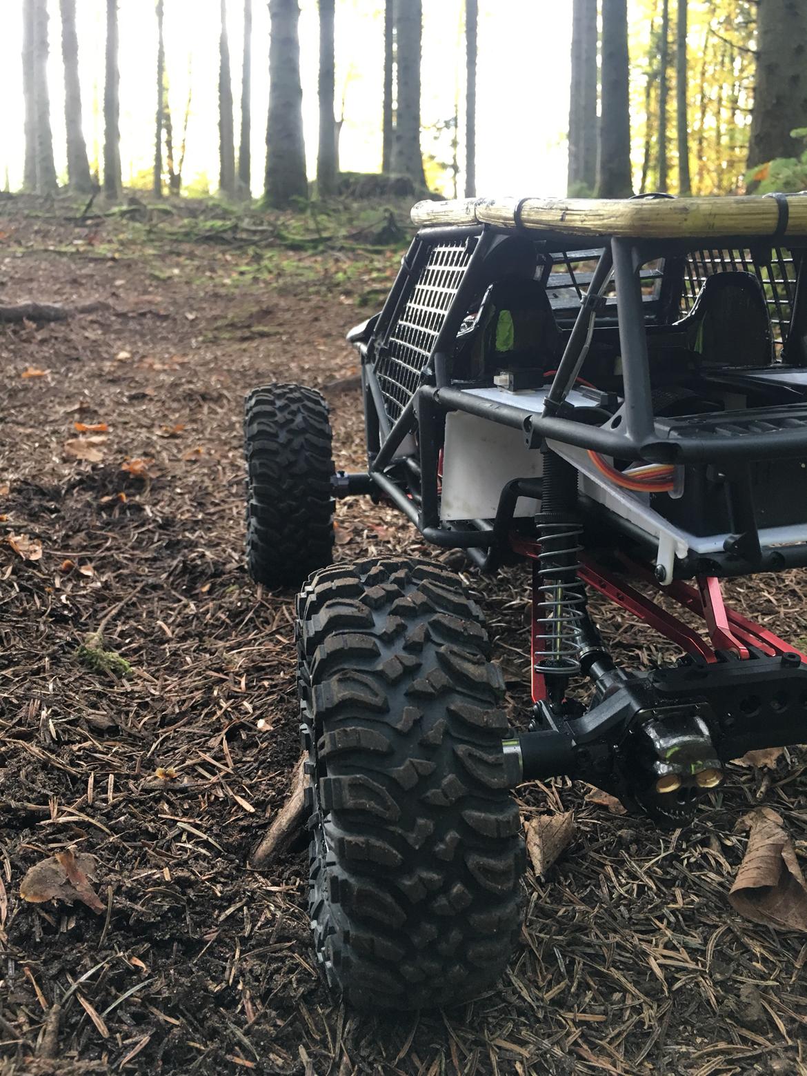 Off-Roader Axial Wraith Spawn billede 19