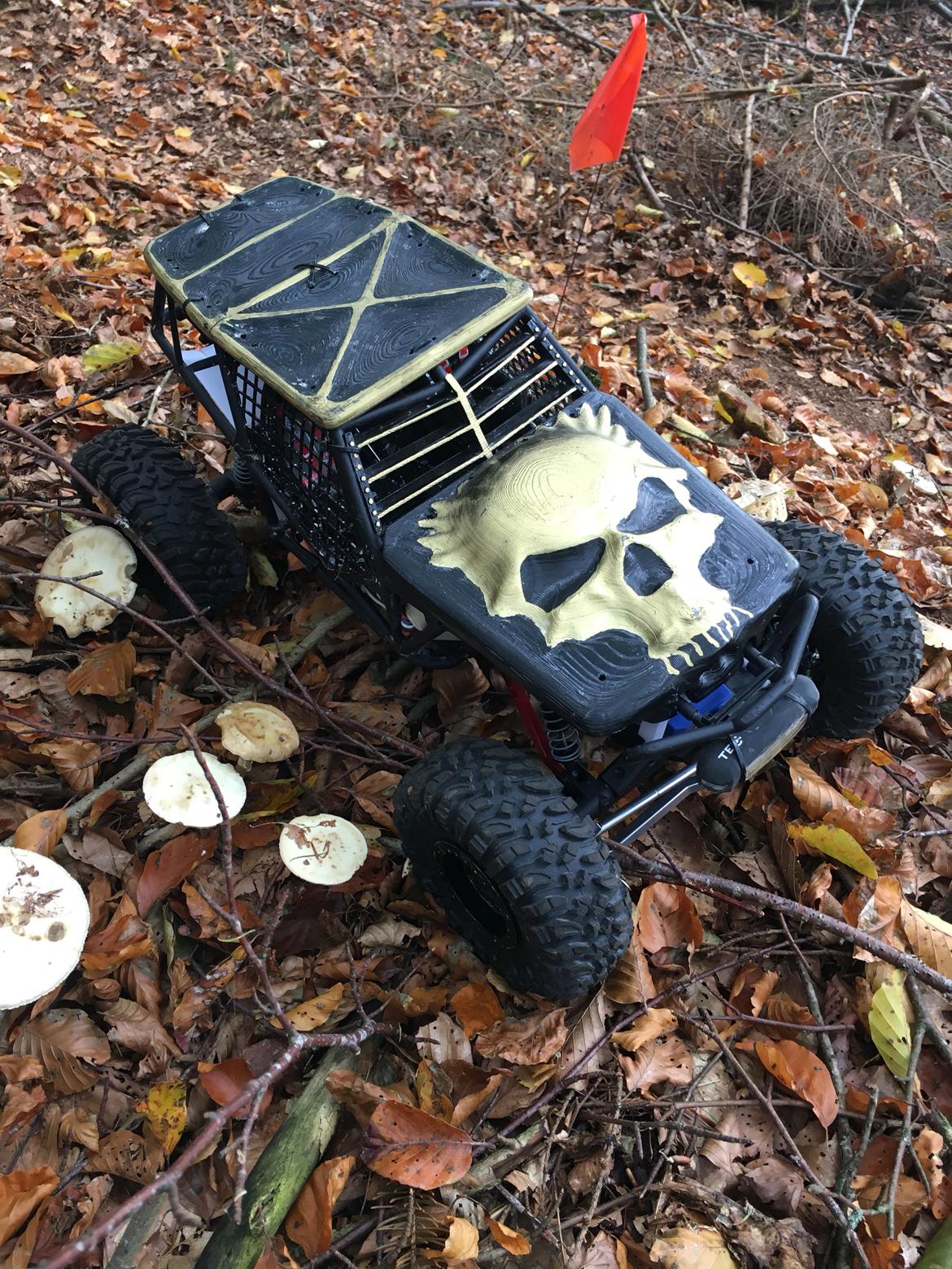 Off-Roader Axial Wraith Spawn billede 25