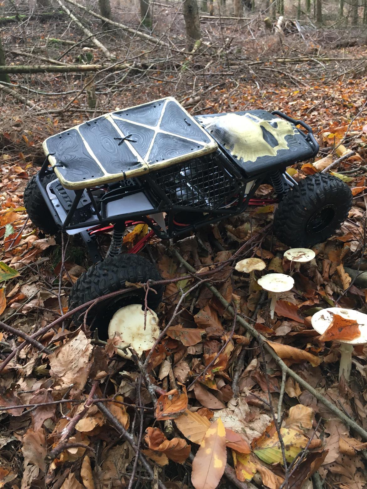 Off-Roader Axial Wraith Spawn billede 26