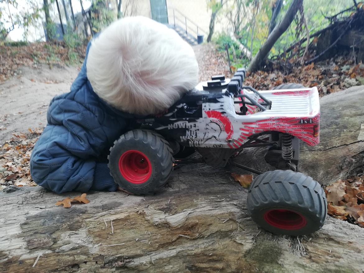 Off-Roader Quakeshock  - Knægten tjekkede lige dens affjedring...med hovedet, 2018 billede 3