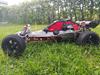 Buggy Rovan
