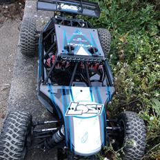 Buggy Losi dbxl e 1/5