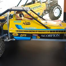 Buggy Kyosho Scorpion