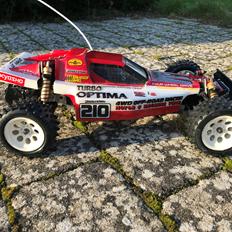 Buggy Kyosho Turbo Optima