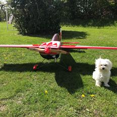 Fly Edge 540 35 ccm Goldwing