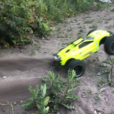 Buggy Klatre missen -  Rustler 4X4 VXL aka Greeny