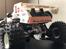 Buggy Tamiya the Frog