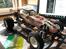 Buggy Tamiya the Frog
