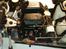 Off-Roader FG Baja 2wd