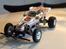 Buggy Tamiya the Frog