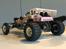Buggy Tamiya the Frog