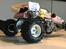 Buggy Tamiya the Frog