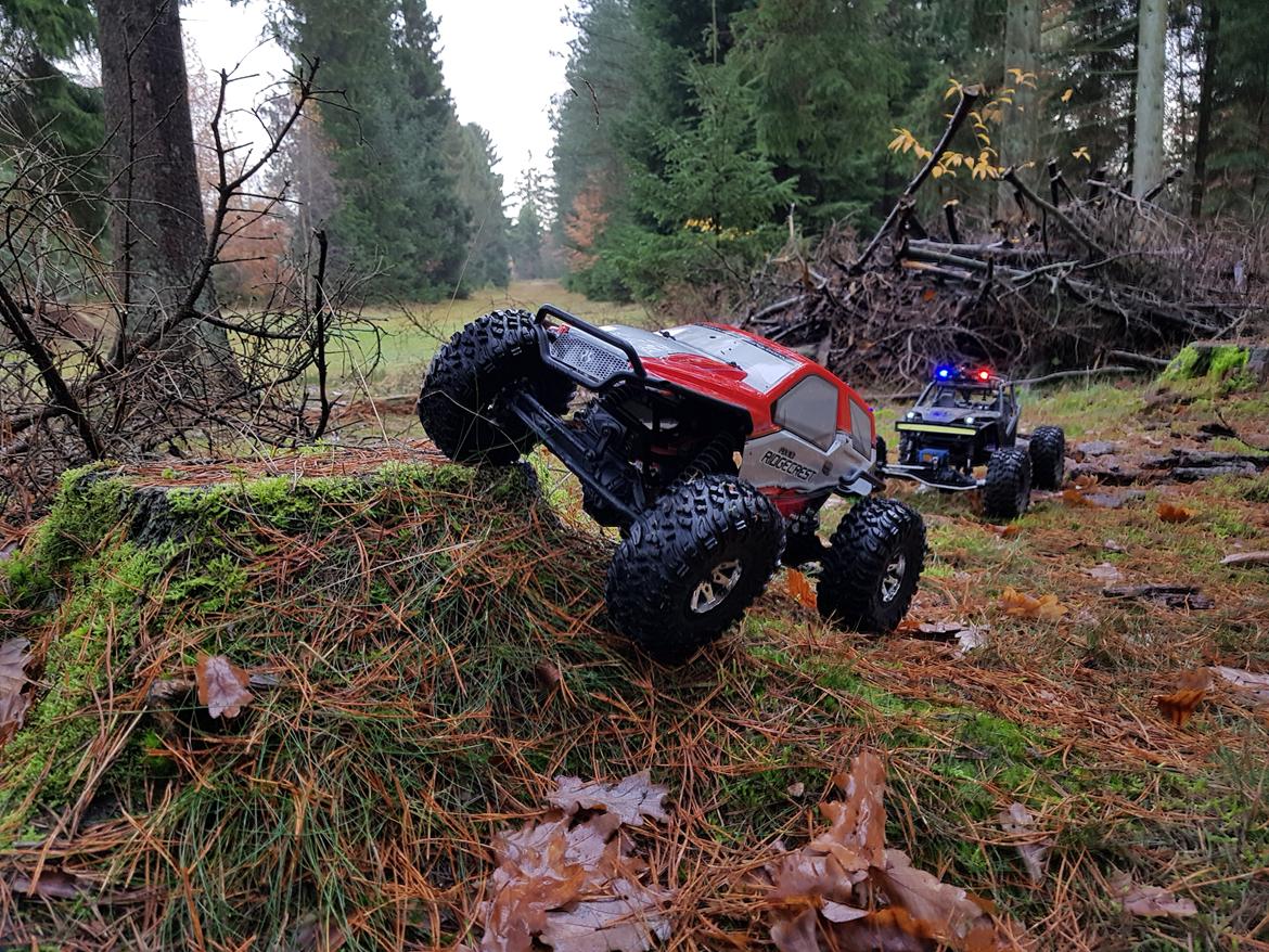 Off-Roader Axial ax10 ridgecrest billede 2