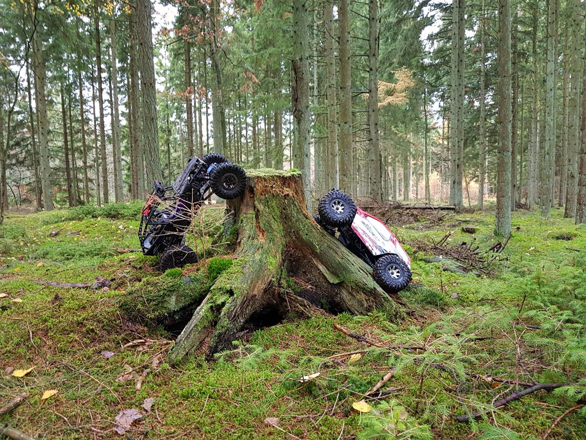 Off-Roader Axial ax10 ridgecrest billede 6