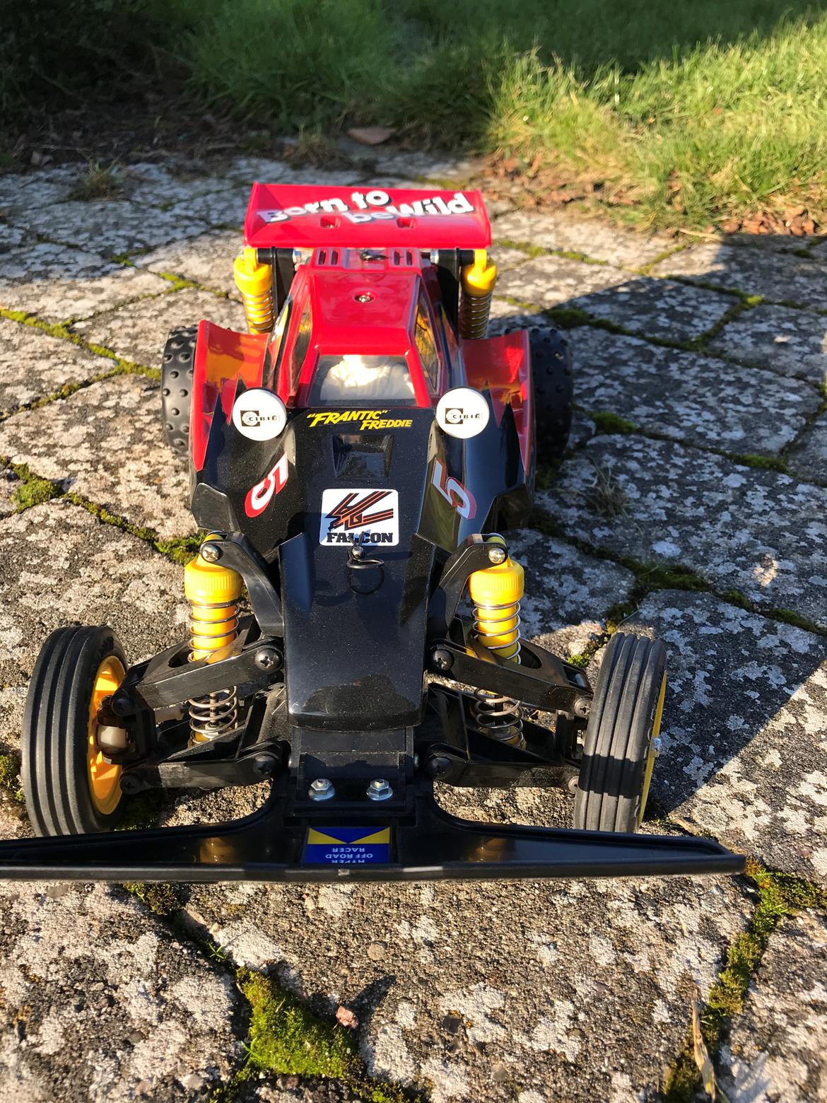 Buggy Tamiya Falcon billede 3