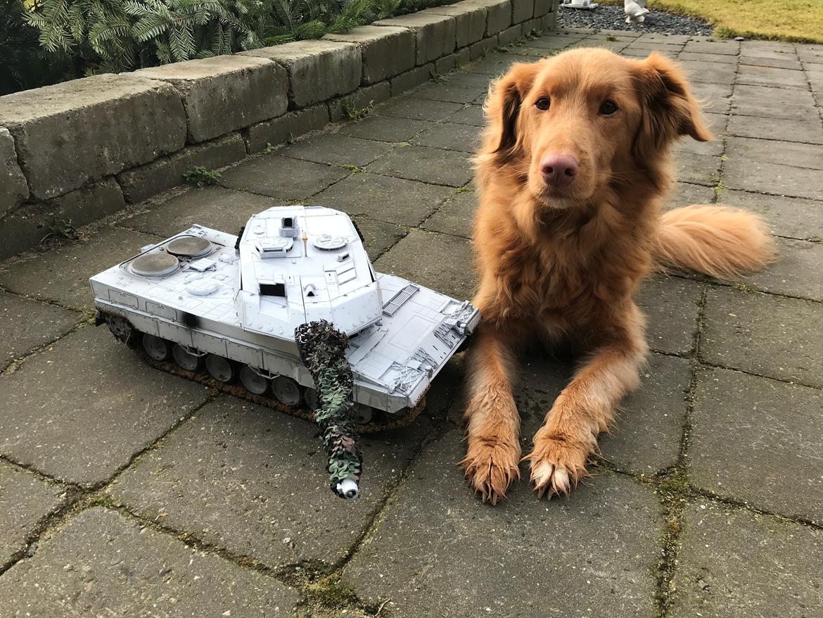 Militær Leopard 2a6 (UN model) billede 9