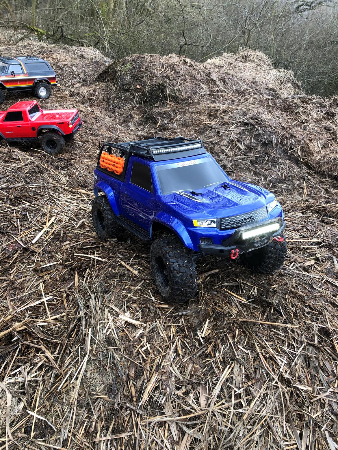 Off-Roader Trx-4 sport billede 11