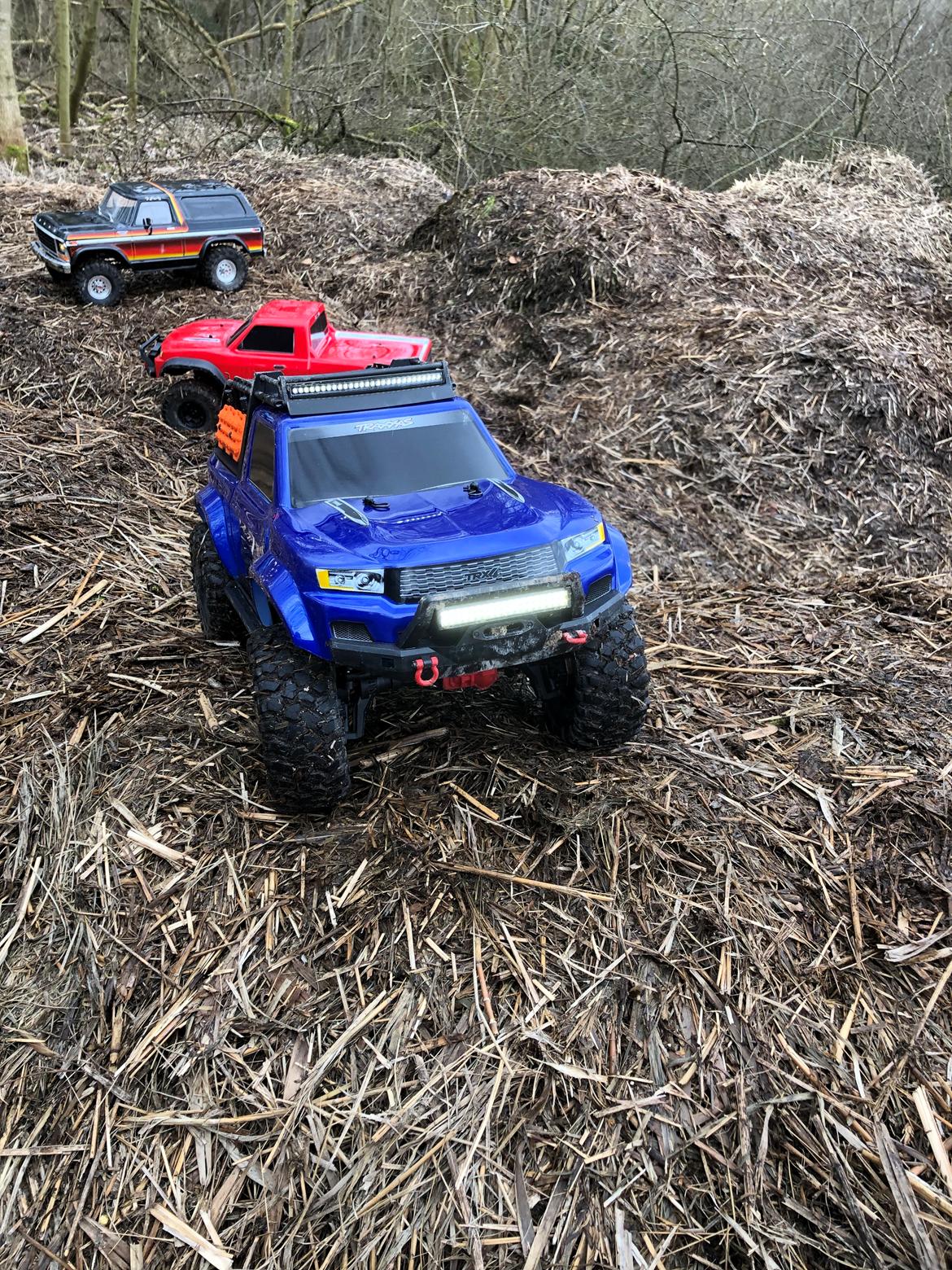 Off-Roader Trx-4 sport billede 12