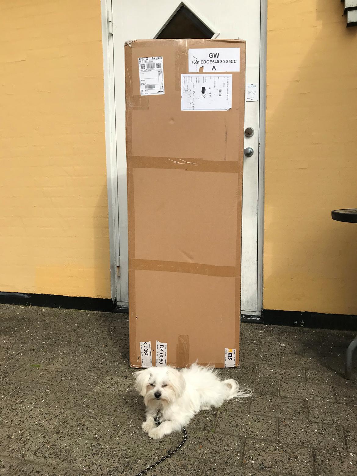 Fly Edge 540 35 ccm Goldwing - Så ved man bare at man ikke kun har bestilt en micro servo billede 4