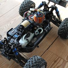 Buggy ten-t LOSI