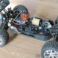 Buggy ten-t LOSI