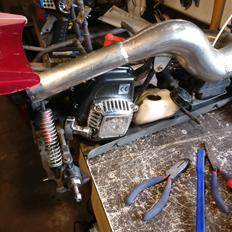 Bil Fg monster beetle 