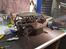 Off-Roader Axial Wraith spawn 2.2