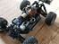 Buggy ten-t LOSI