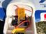 Fly Coota Amphibian - Radio system udsiftet til up date system