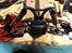 Buggy FG FUN CROSS EVO PRO