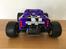 Buggy Schumacher Cougar