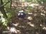 Off-Roader axial scx10 2 umg10 6x6 