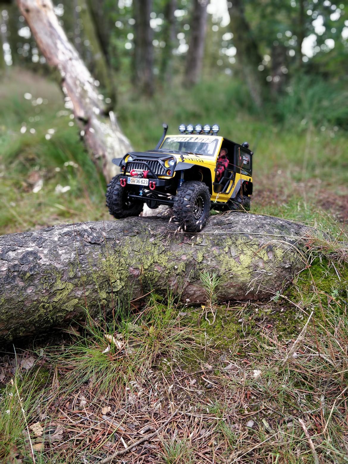 Bil Mex Jeep JK 2016 billede 28