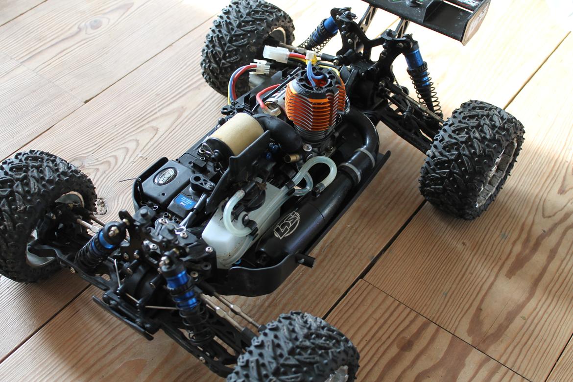 Buggy ten-t LOSI billede 1